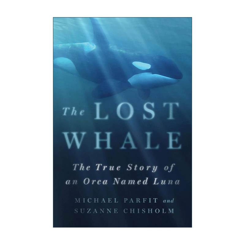 英文原版 The Lost Whale 迷路的鲸鱼 一只名叫露娜的虎鲸的真实故事 精装 英文版 进口英语原版书籍