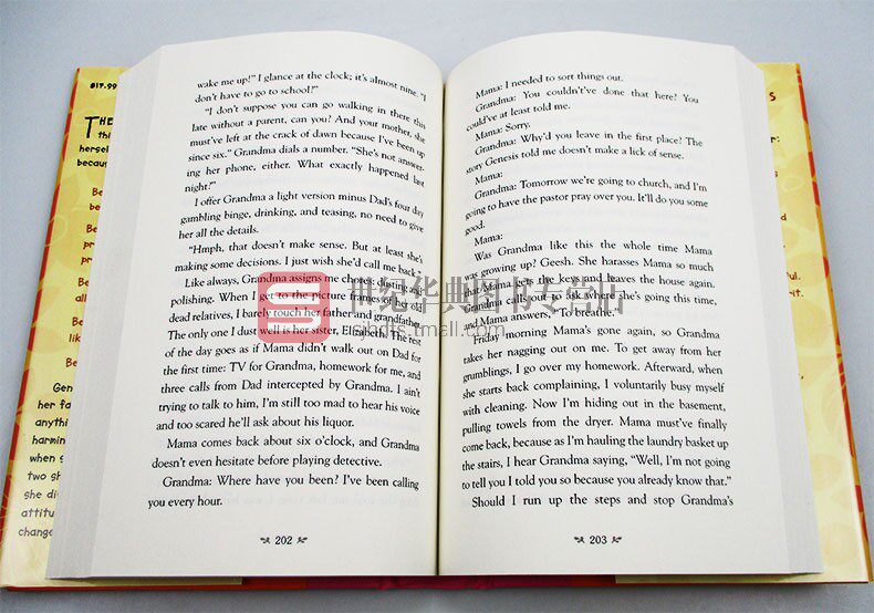 吉妮西丝的清单 精装 Genesis Begins Again 纽伯瑞银奖 英文原版儿童文学小说 进口英语书籍 - 图0