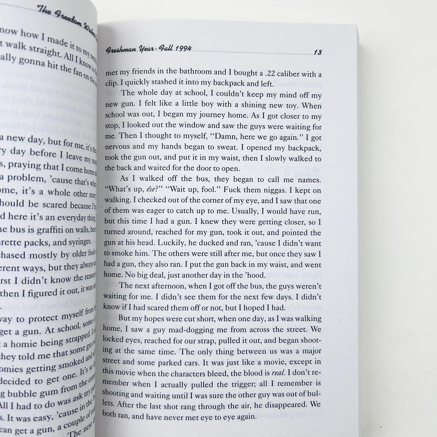 The Freedom Writers Diary 街头日记 放牛班的奇迹 如何通过写作来改变自己和周围的世界 英文原版社科读物 进口英语书籍