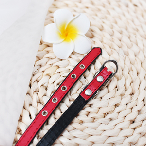 狗狗项圈泰迪铃铛项圈