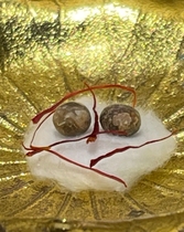 Treasure of Honolulu a 89 dedicated to the Sherlita Supplies