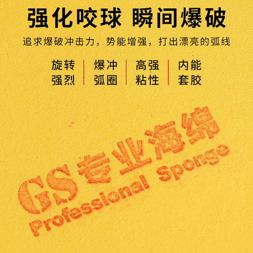 友谊729普及套装蓝绿色对套乒乓球胶皮球拍内能GS弧圈反胶套胶 - 图1