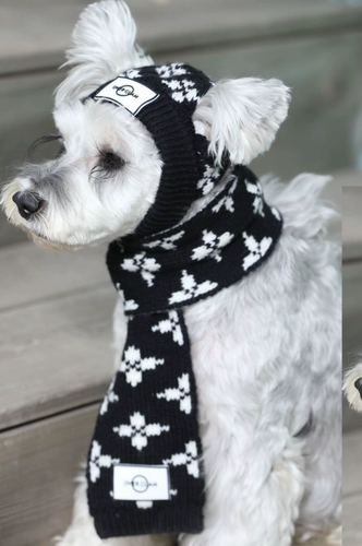 Шерстяная шляпа шарф Британская овергламская одежда осень и зимние вязаные кошки, собаки, маленькие собаки, а также