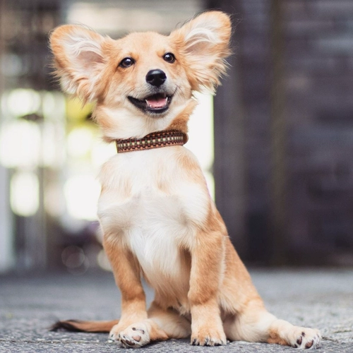 Парк Парк Торгин в Германии импортировал облако7