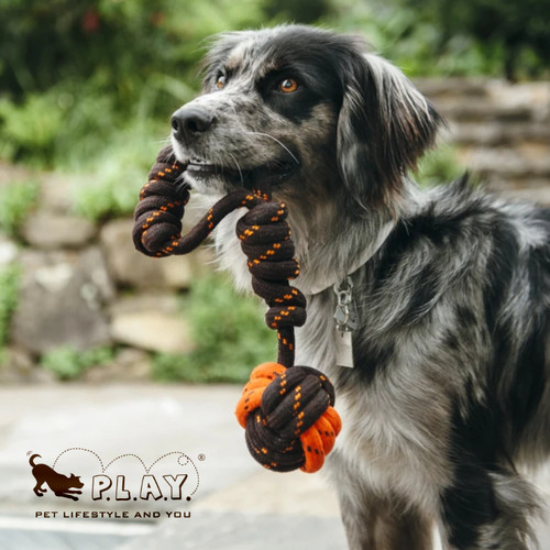 宠物狗拔河玩具 PLAY 美国 绳结球大型犬发泄磨牙拔河 - 图0