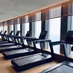 Technogym泰诺健家用健身房室内电动智能静音ARTIS®减震跑步机