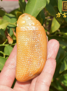 重磅和田玉精品放漏新疆老熟黄沁皮白玉籽料仿古龙把件摆件A1