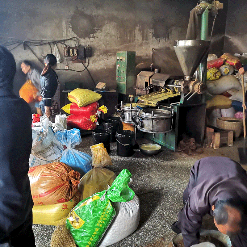 菜籽饼油菜子饼农家现榨油枯饼钓鱼打窝料鱼饵种菜种花有机肥包邮,淘宝优惠券,粉丝福利购,淘宝优惠卷
