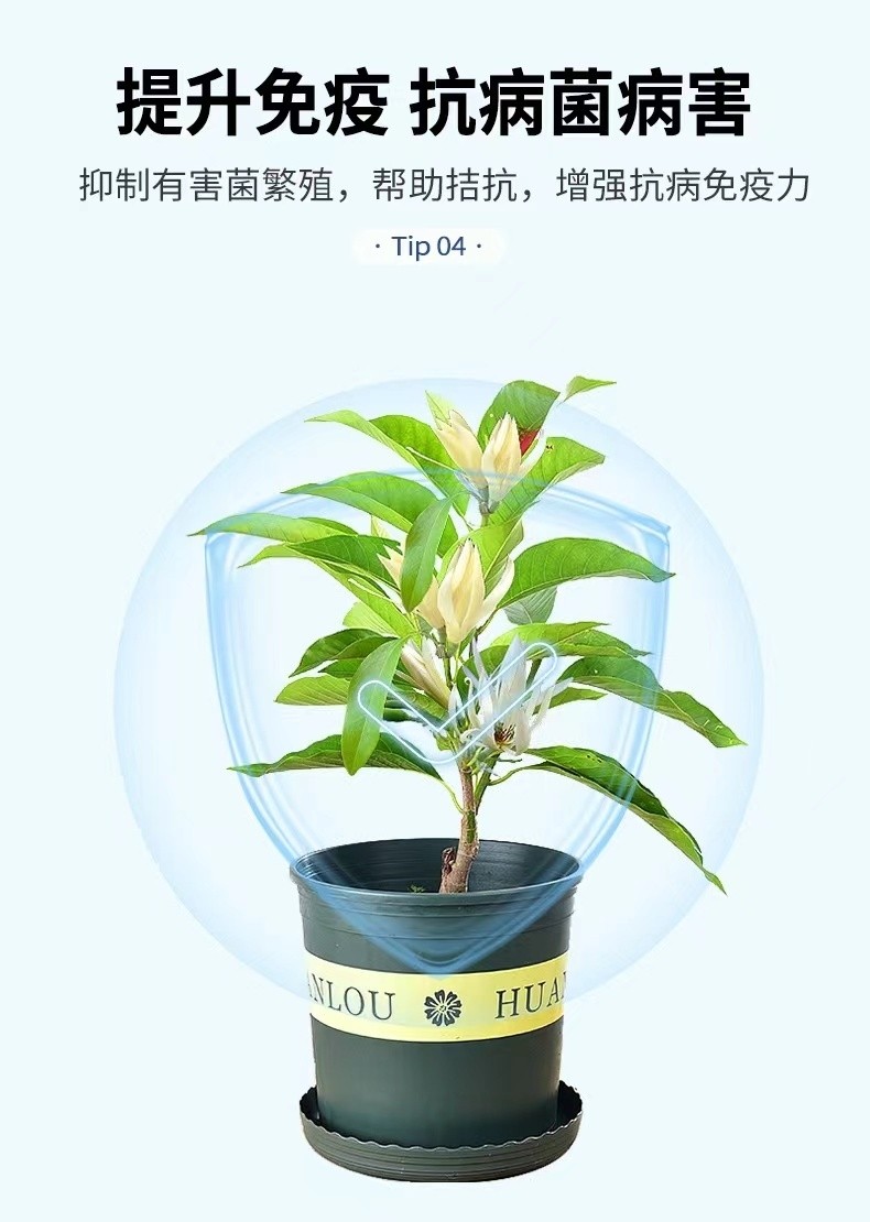 兰灵王兰花通用营养液EM菌肥君子兰蝴蝶兰建兰墨兰生根催芽有机肥-图2