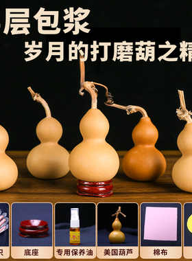 文玩葫芦纯正天然迷你男特精品