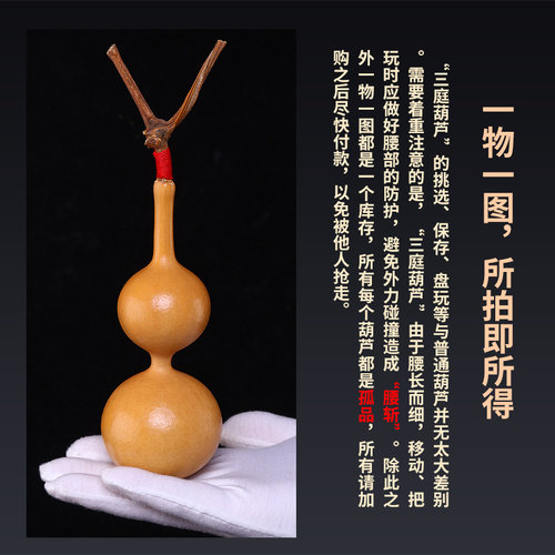 三庭手捻葫芦三亭葫芦摆件天然亚腰带龙头精品文玩手把件真长翻嘴 - 图3
