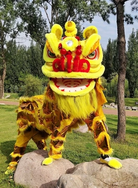舞狮道具新款整套双人南狮舞狮子