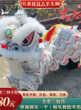 舞狮道具南狮醒狮成人儿童双人