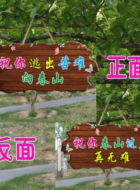 祝你逃出苦难向春山励志挂牌