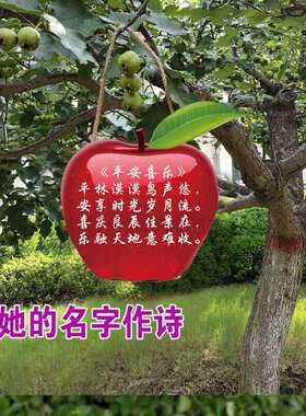 女友生日礼物藏头诗挂牌名字写诗作诗诗歌填诗词创作设计改编定制
