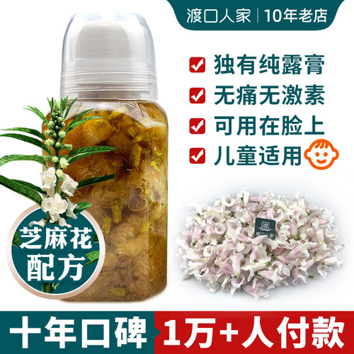 新鲜芝麻花纯露膏面颈脖子一抹无忧手上脚上净根去肉刺麻子花泡酒 - 图0