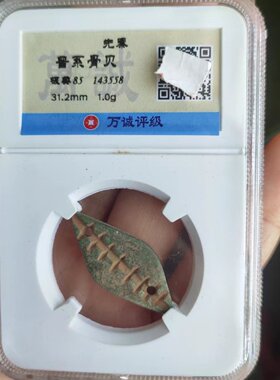 古代先秦夏商周春秋战国 天然海贝币骨贝陶骨贝币真品评级
