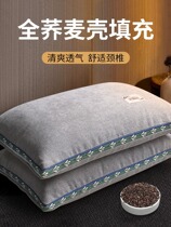 Buckwheat Pillow Male cervical spine pillow core student Dormitory Booster Sleep Buckwheat Leather Shell Grown-up Hard Whole Head Household Bitter Buckwheat