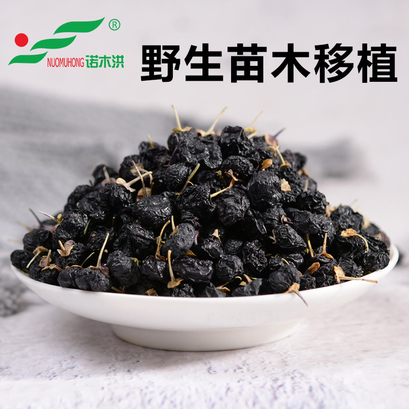 【诺木洪】黑青海特级正品黑果枸杞 诺木洪枸杞