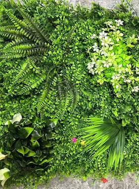 仿真植物墙客厅装饰墙面波斯绿植仿真蕨类植物墙婚庆室内装饰摆设
