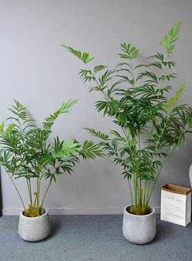 仿真绿植植物盆栽德宝苏铁假树家居室内大型落地装饰造景假树
