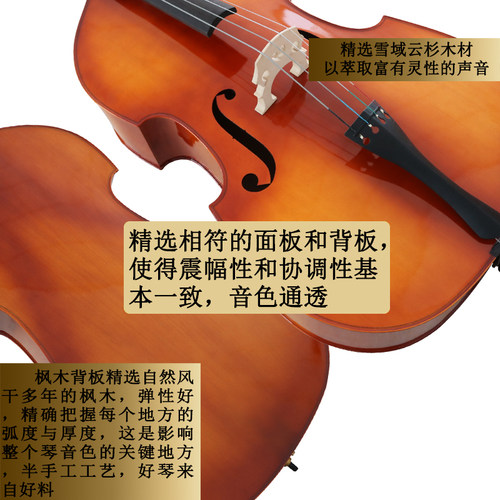 低音提琴倍大提琴儿童乐器大贝斯入门级练习bass四弦贝司实木木质 - 图0