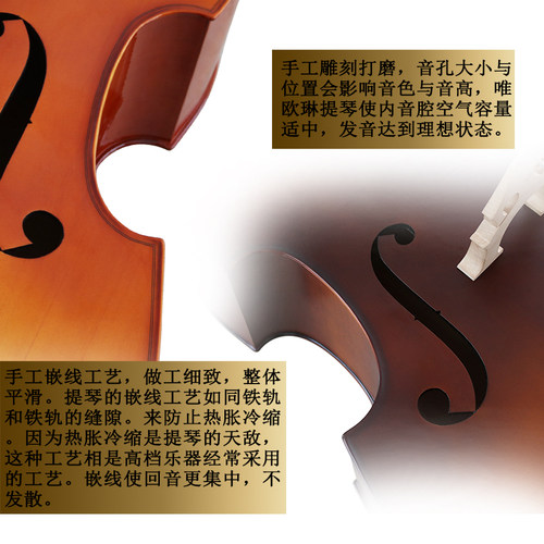 低音提琴倍大提琴儿童乐器大贝斯入门级练习bass四弦贝司实木木质 - 图1