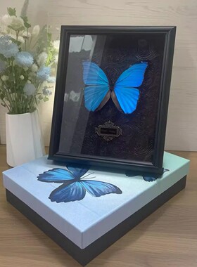 蓝色大蓝闪蝶未展翅标本装饰画