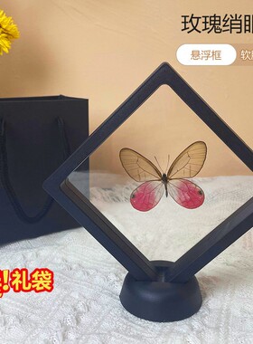 真蝴蝶标本玫瑰绡眼蝶礼盒装