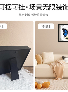 蝴蝶标本天堂凤蝶A1品质
