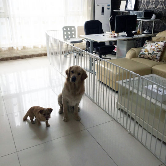 Kidgo baby protective folding toddler safety gate