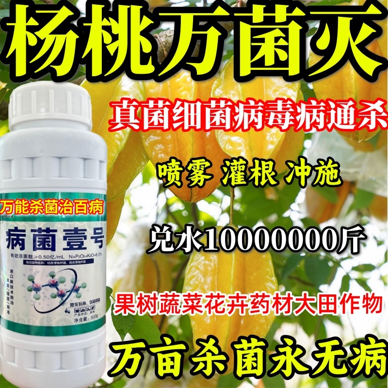 杨桃万菌灭真菌细菌病毒果树蔬菜花卉绿植炭疽病腐烂病叶斑溃疡病 - 图2