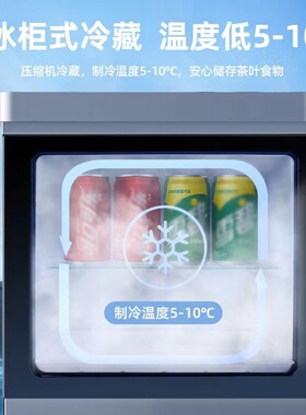 安达尔智能语音压缩机制冷茶吧机