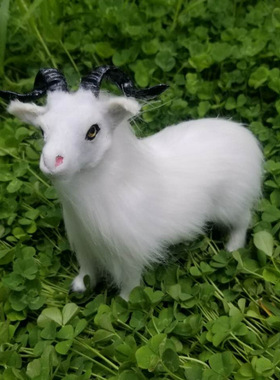 仿真山羊标本黑山羊模型仿真