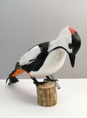 仿真啄木鸟羽毛工艺品园林花园