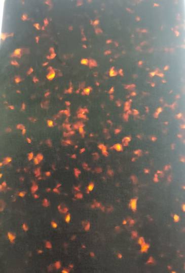 Tortoiseshell acetate resin imitation tortoiseshell synthetic tortoiseshell