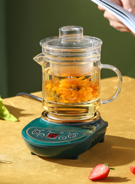 全玻璃迷你定时煲花果茶炖煮燕窝养生壶一人电热杯加热专用壶单人