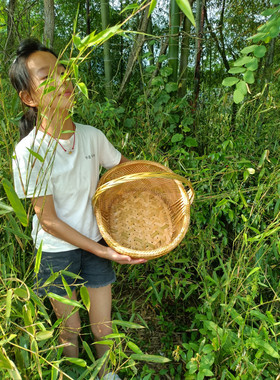纯手工水果篮手提篮竹编镂空