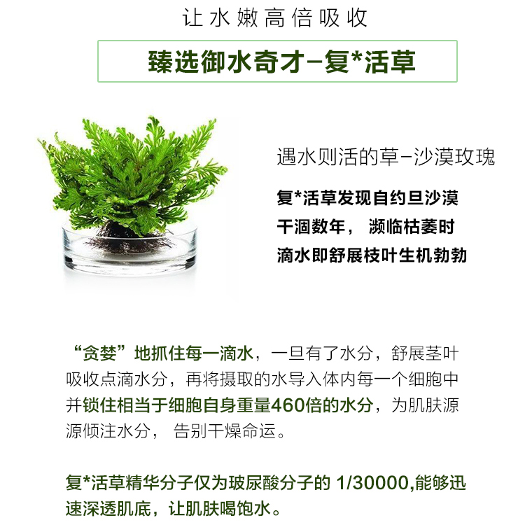 日本bblaboratories胎盘素复活草修复面膜补水保湿滋润涂抹式175g - 图1