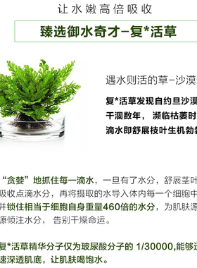 日本胎盘素复活草保湿涂抹式面膜