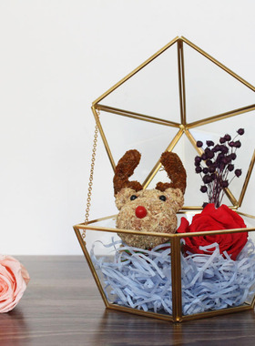 玻璃罩摆件永生花礼盒多肉房婚礼