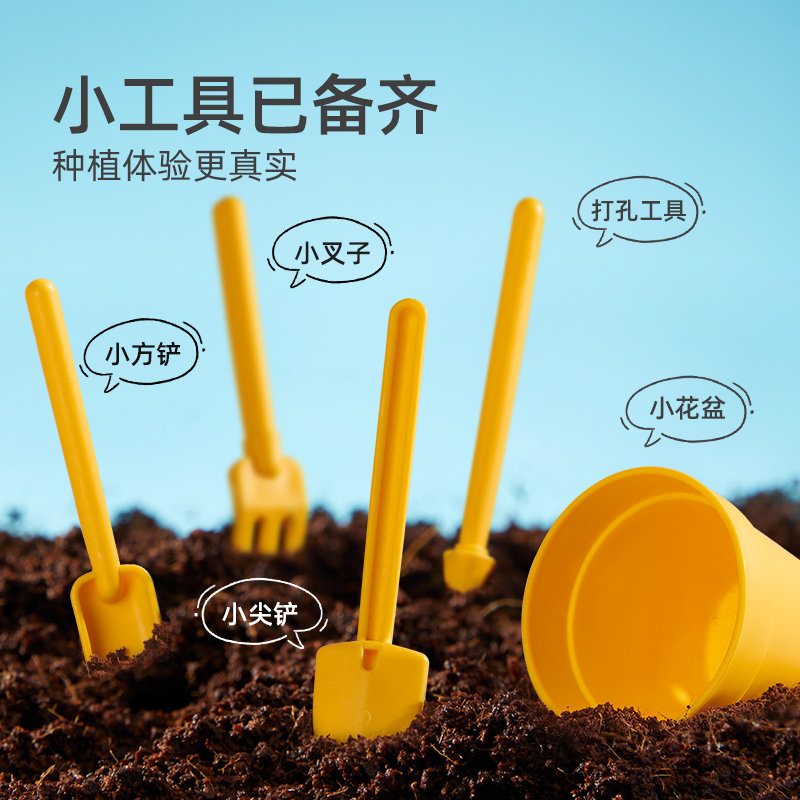 mideer弥鹿阳光房种植儿童盲盒科学小实验套装植物生长观察盒玩具,淘宝优惠券,粉丝福利购,淘宝优惠卷