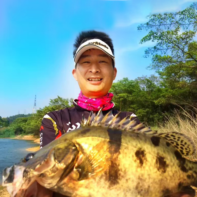 吉川仿生软饵叉尾软鱼鱼矢腹部闪片软饵海淡水钓鲈鱼翘嘴桂鱼软饵 - 图2