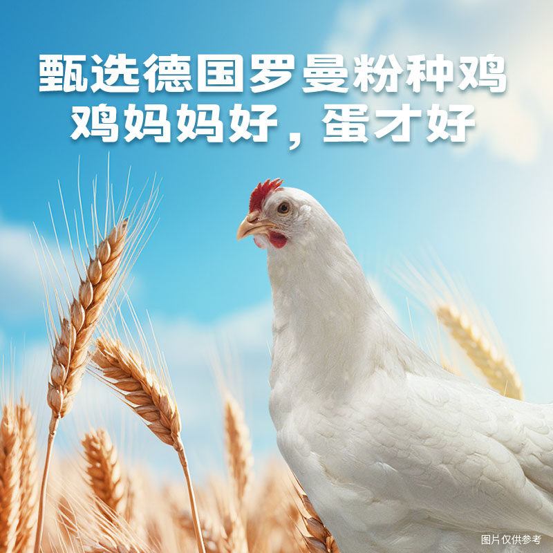 图 3