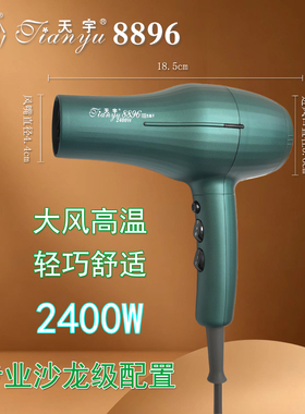 天宇大风力速干电吹风机发廊家用