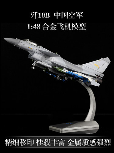 1:48歼10CE飞机模型合金战斗机J10C歼十仿真军事模型航展战机纪念 - 图1