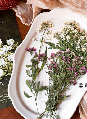 本色香雪球带枝押花diy贺卡请柬