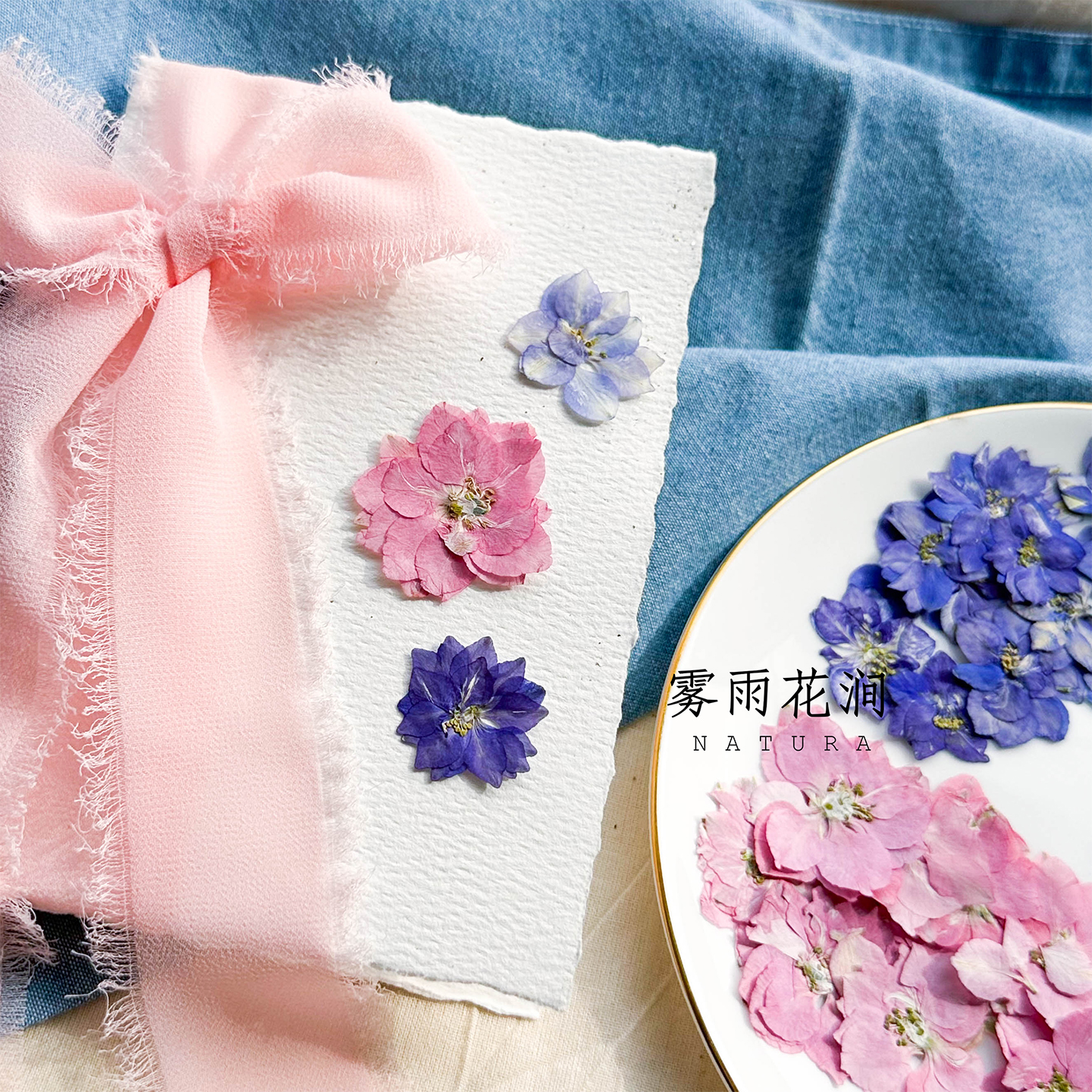 飞燕花千鸟花干花原色植物标本画框幼儿园手工蜡烛台灯滴胶手机壳 - 图3
