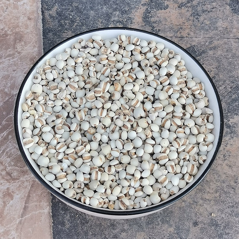 新鲜去壳云南小薏米正品农家自产薏米仁优质小薏仁米杂粮包邮,淘宝优惠券,粉丝福利购,淘宝优惠卷
