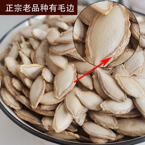 哀牢山彝家自种老品种生南瓜子原味毛边云南老南瓜籽手工精选饱满 - 图0